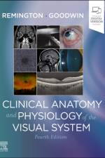 Clinical Anatomy and Physiology of the Visual System