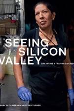 Seeing Silicon Valley af Mary Beth Meehan