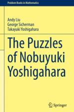 The Puzzles of Nobuyuki Yoshigahara