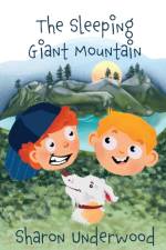 Sleeping Giant Mountain af Sharon Underwood