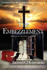 The Embezzlement af Brandon J Rosenberg