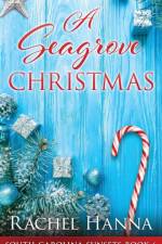 A Seagrove Christmas