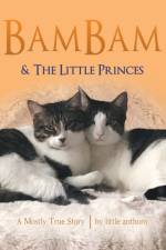 Bambam & the Little Princes af Little Anthony