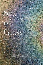 Sea of Glass af Julie Godwin