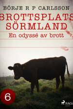 Brottsplats Sörmland. 6, En odyssé av brott af Börje R P Carlsson
