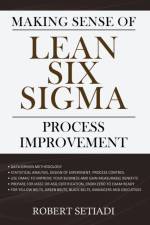 Making Sense of Lean Six Sigma Process Improvement af Robert Setiadi