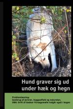 Hund graver sig ud under Hæk og Hegn