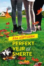 Perfekt vejr til smerte
