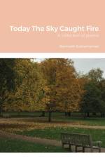 Today The Sky Caught Fire af Ramnath Subramanian