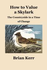 How to Value a Skylark af Brian Kerr