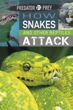 Predator vs Prey: How Snakes and other Reptiles Attack