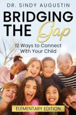 Bridging the Gap af Sindy Augustin