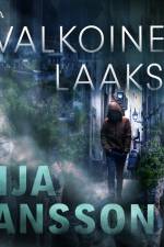Valkoinen laakso af Eija Jansson