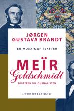 Meïr Goldschmidt. Digteren og journalisten af Jørgen Gustava Brandt