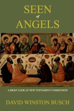 Seen of Angels af David Winston Busch