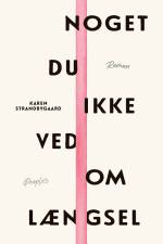 Noget du ikke ved om længsel af Karen Strandbygaard