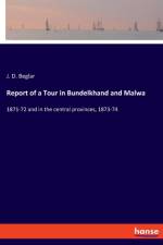 Report of a Tour in Bundelkhand and Malwa af J D Beglar