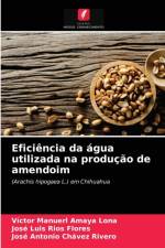 Eficiencia da agua utilizada na producao de amendoim af Rios Flores Jose Luis Rios Flores
