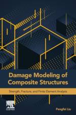 Damage Modeling of Composite Structures af Pengfei (Associate Professor Liu