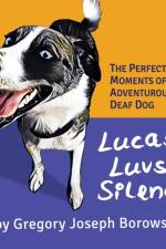 Lucas Luvs Silence af Borowski Gregory Joseph Borowski