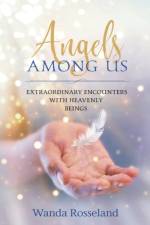 ANGELS AMONG US af Wanda Rosseland
