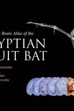 Stereotaxic Brain Atlas of the Egyptian Fruit Bat af Raya Eilam-Altstadter