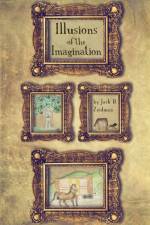 Illusions of the Imagination af Jack D Zeidman