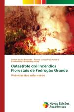 Catastrofe dos Incendios Florestais de Pedrogao Grande af Miranda Isabel Sousa Miranda