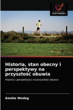 Historia, stan obecny i perspektywy na przyszlosc obuwia af Wodag Awoke Wodag