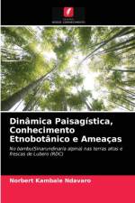 Dinamica Paisagistica, Conhecimento Etnobotanico e Ameacas af Ndavaro Norbert Kambale Ndavaro