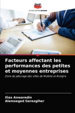Facteurs affectant les performances des petites et moyennes entreprises af Anwaredin Ilias Anwaredin