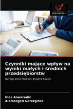 Czynniki majace wplyw na wyniki malych i srednich przedsiebiorstw af Anwaredin Ilias Anwaredin