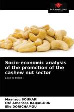 Socio-economic analysis of the promotion of the cashew nut sector af Maanzou Boukari