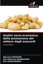 Analisi socio-economica della promozione del settore degli anacardi af Boukari Maanzou Boukari