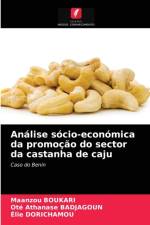 Analise socio-economica da promocao do sector da castanha de caju af Dorichamou Elie Dorichamou