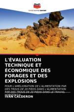 L'Evaluation Technique Et Economique Des Forages Et Des Explosions af Ivan Calderon