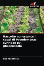 Raccolto nonostante i ceppi di Pseudomonas syringae pv. phaseolicola af Eric Ndabaneze