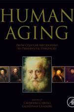 Human Aging