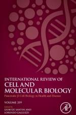 Pancreatic B Cell Biology in Health and Disease