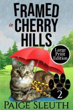 Framed in Cherry Hills af Paige Sleuth