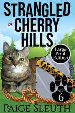 Strangled in Cherry Hills af Paige Sleuth