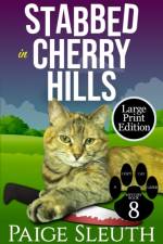Stabbed in Cherry Hills af Paige Sleuth