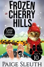 Frozen in Cherry Hills af Paige Sleuth