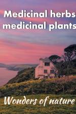 Medicinal herbs / medicinal plants af Tom Schilden