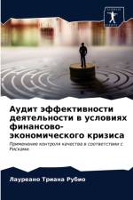 Аудит эффективности деятельности в услов af а