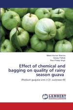 Effect of chemical and bagging on quality of rainy season guava af Sharma Nitesh Kumar Sharma