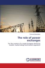 role of power exchanges af Boisseleau Francois Boisseleau