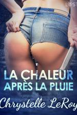 La chaleur après la pluie - Une nouvelle érotique af Chrystelle LeRoy