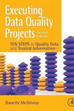 Executing Data Quality Projects af Danette (President and Principle McGilvray