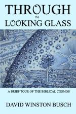 Through the Looking Glass af David Winston Busch